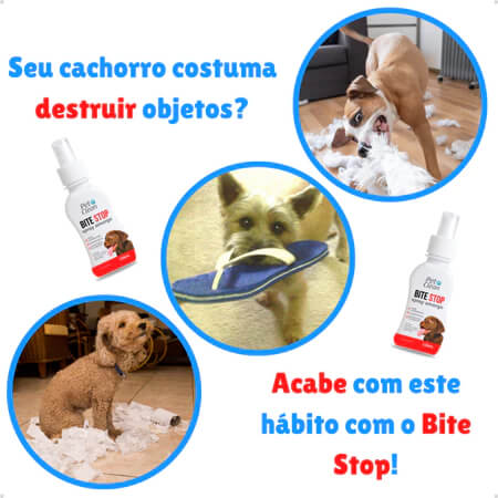 Kit Educador Canino 3 em 1: Pare Mordidas + Xixi Stop + Pipi Certo