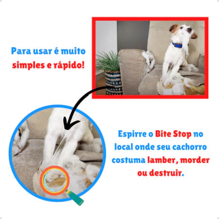 Kit Educador Canino 3 em 1: Pare Mordidas + Xixi Stop + Pipi Certo